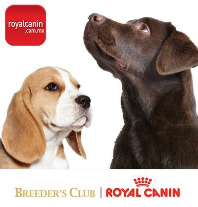 Royal Canin
