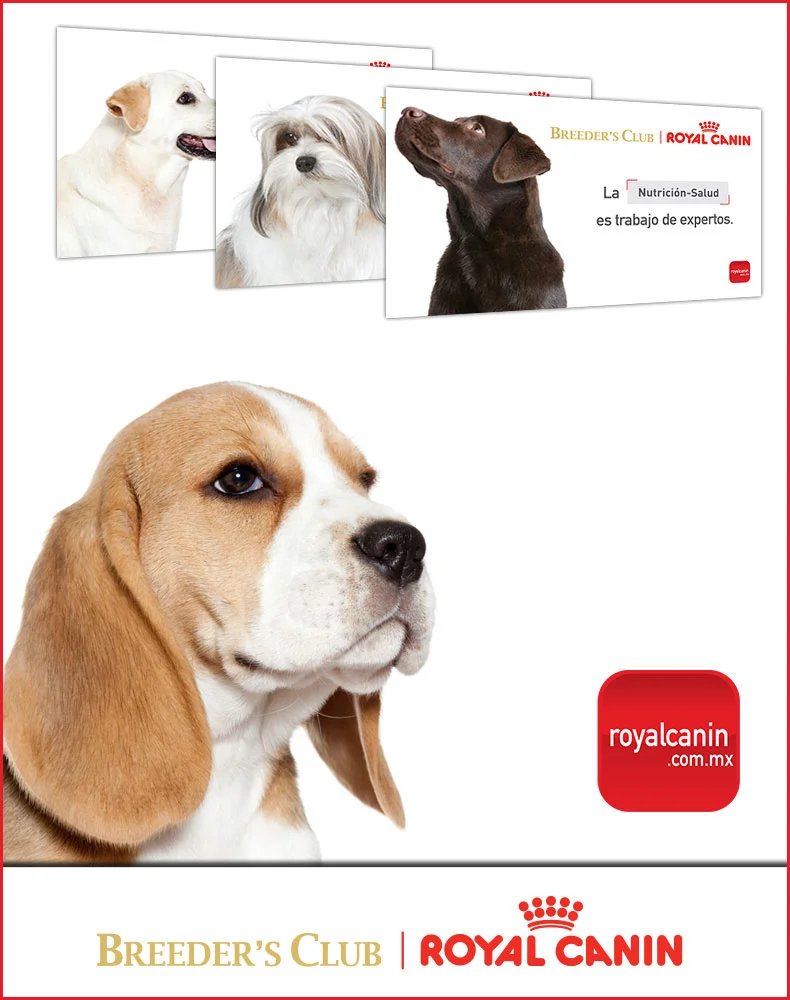 Royal Canin