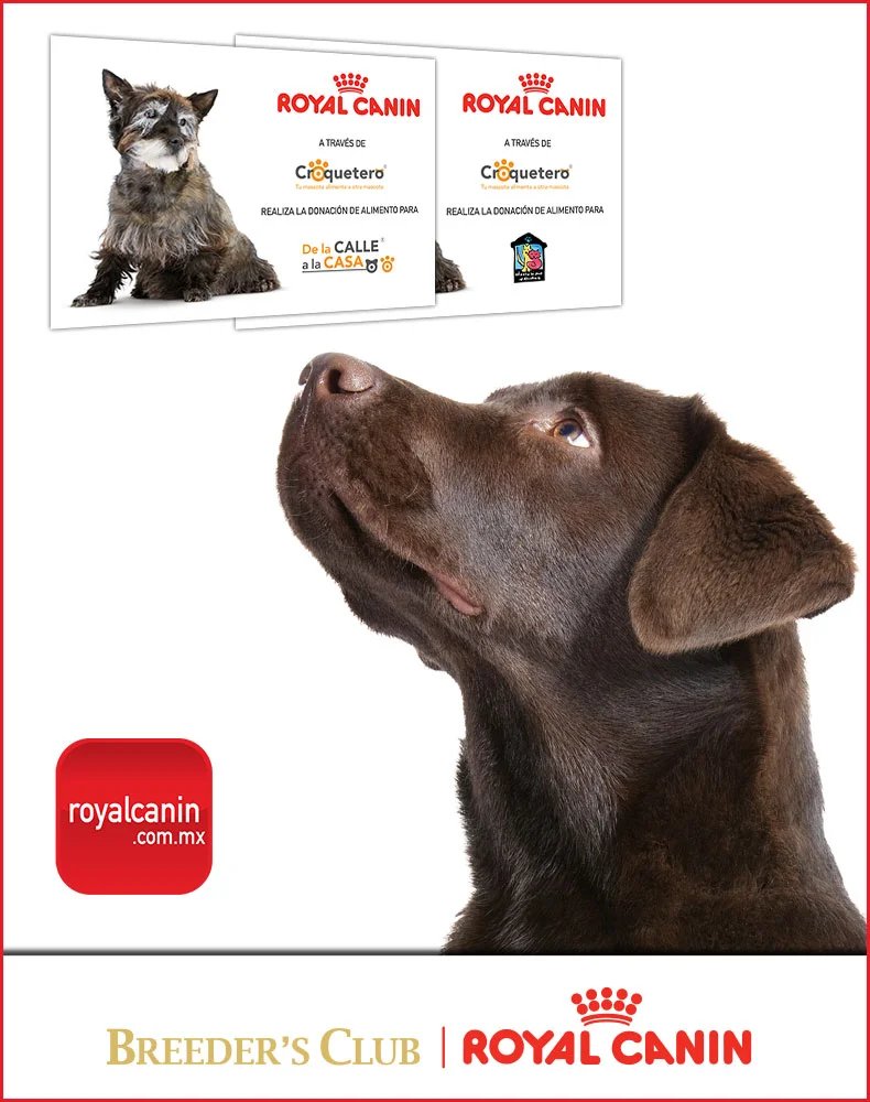 Royal Canin
