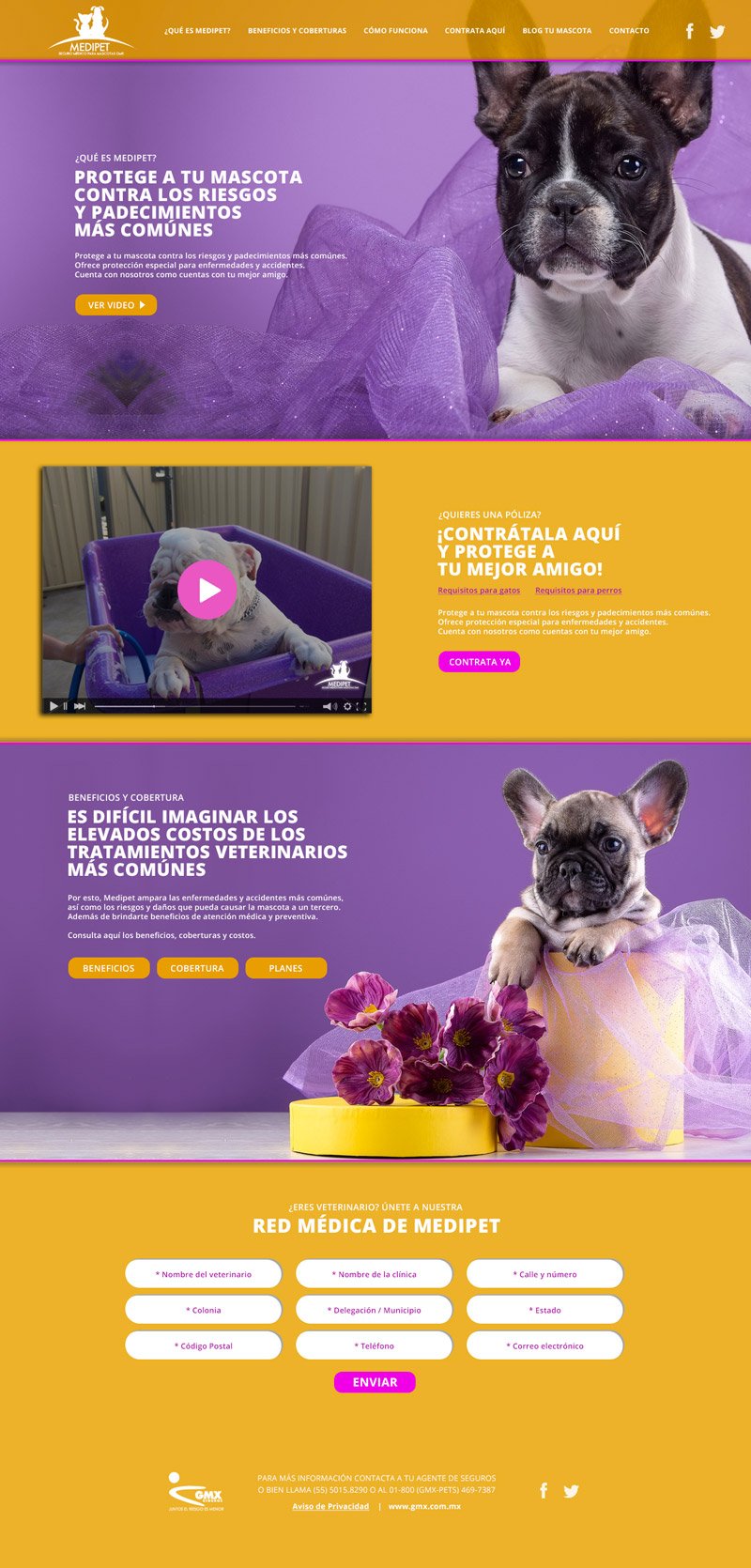 Medipet